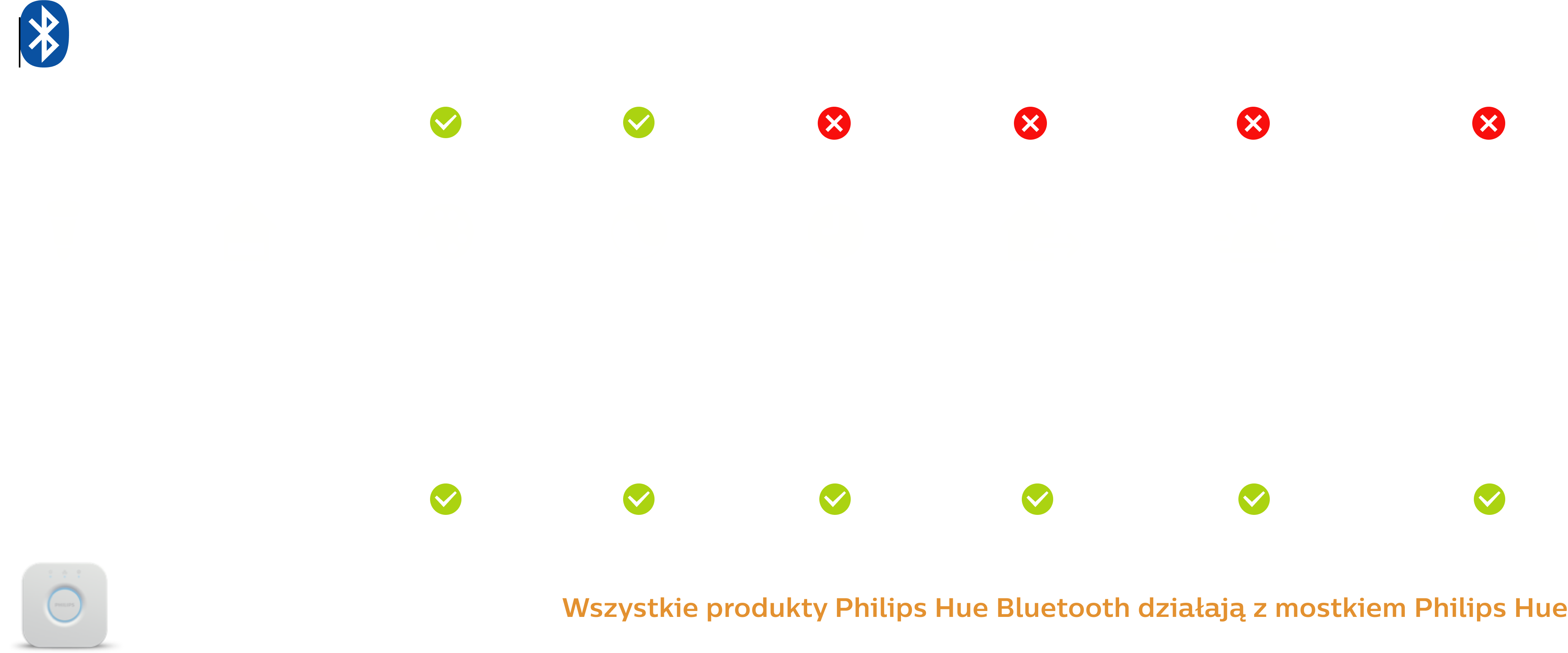 Opis szczegółowy